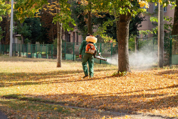 Braddock, PA Pest Control Company
