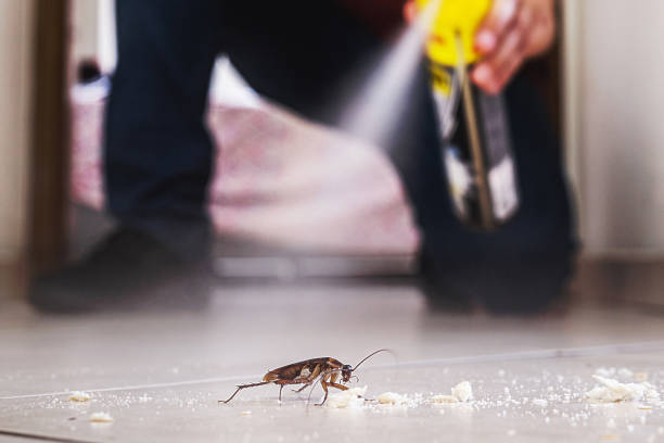 Best Commercial Pest Control Services  in Braddock, PA